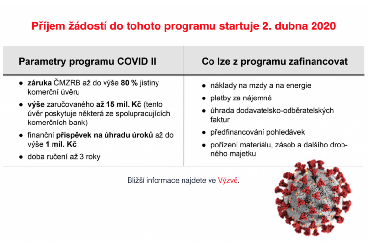 COVID-II_basic