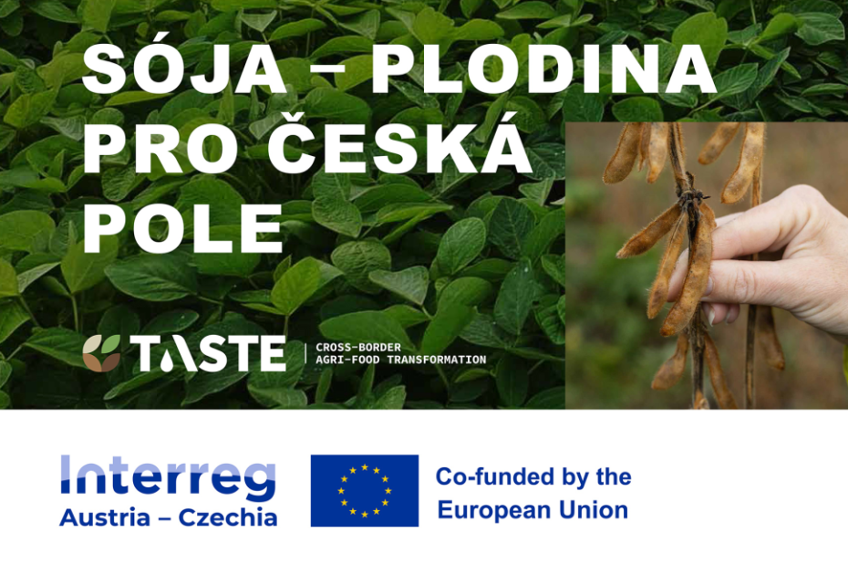 Workshop „Sója – plodina pro česká pole“ představí nové poznatky z výzkumu i praxe