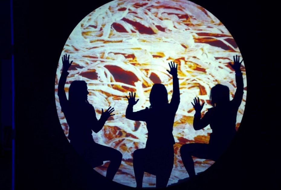 poznejte naše firmy