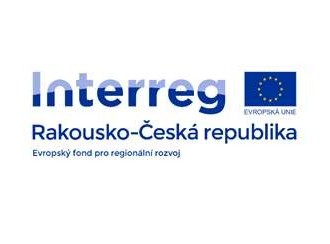 Služby inovačním procesům v malých a středních podnicích