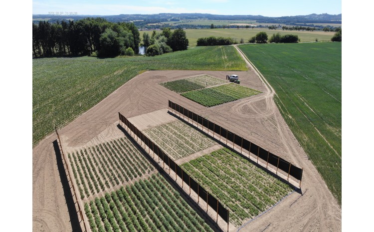 Přeshraniční projekt TASTE startuje s prvními pilotními aktivitami pro udržitelné zemědělství