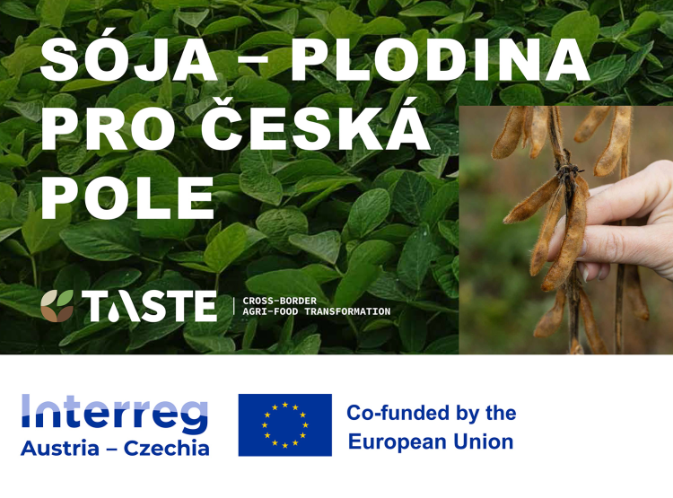 Workshop „Sója – plodina pro česká pole“ představí nové poznatky z výzkumu i praxe