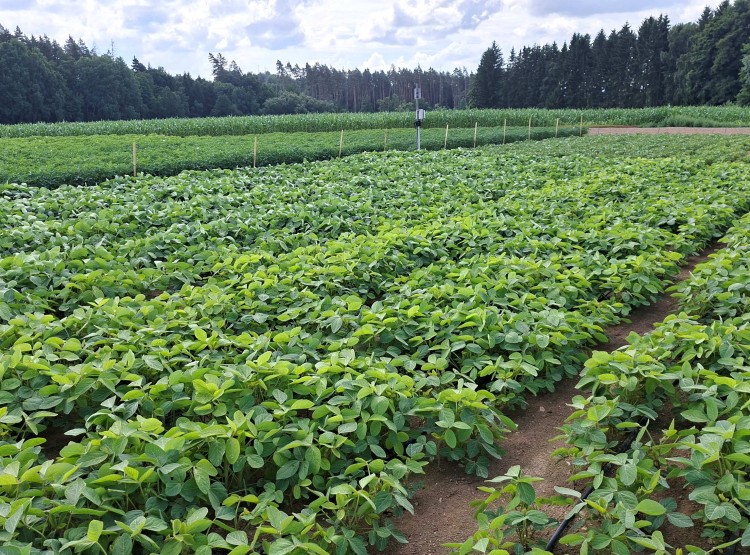 Přeshraniční projekt TASTE startuje s prvními pilotními aktivitami pro udržitelné zemědělství