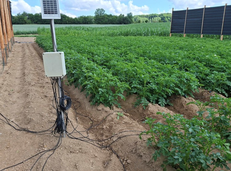 Přeshraniční projekt TASTE startuje s prvními pilotními aktivitami pro udržitelné zemědělství