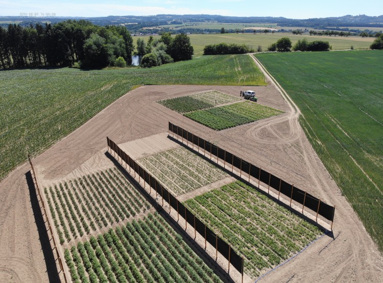 Přeshraniční projekt TASTE startuje s prvními pilotními aktivitami pro udržitelné zemědělství