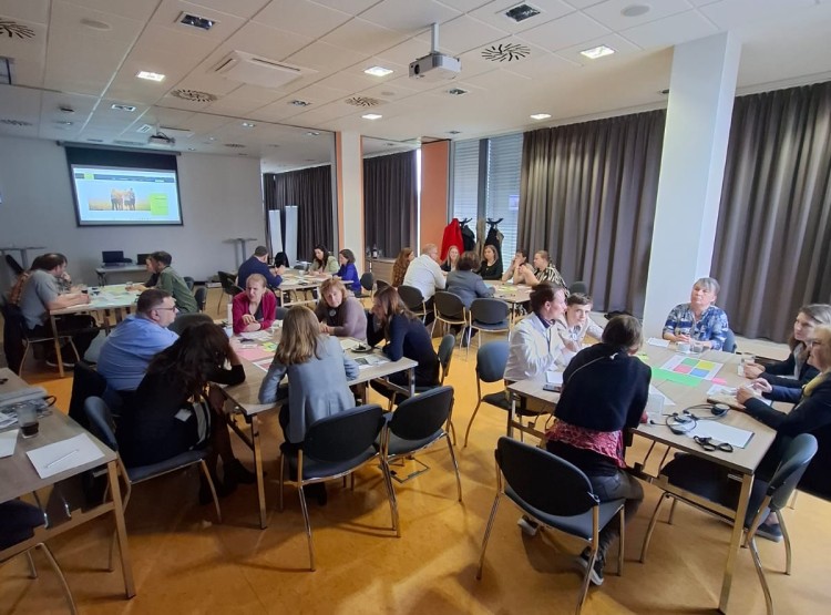 Young Minds - setkání u kulatého stolu