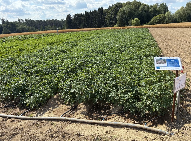 Projekt TASTE představuje na Vysočině možný recept na klimatickou odolnost zemědělství