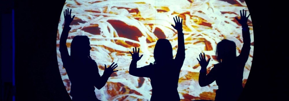 poznejte naše firmy