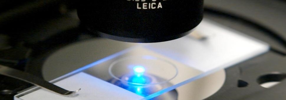 konfokalni mikroskop