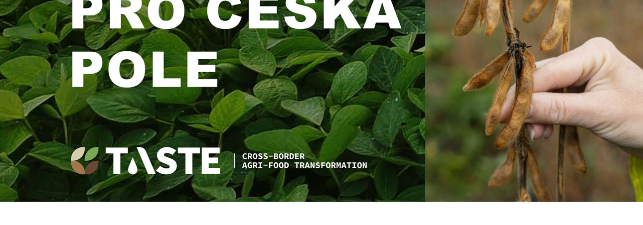 Workshop „Sója – plodina pro česká pole“ představí nové poznatky z výzkumu i praxe