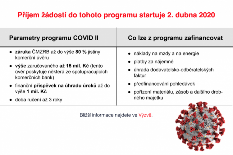 COVID-II_basic