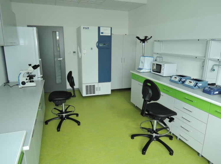 Pronájem vybavených laboratoří a kanceláří